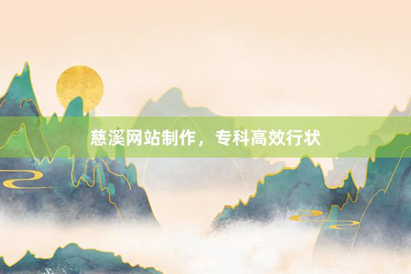 慈溪网站制作，专科高效行状