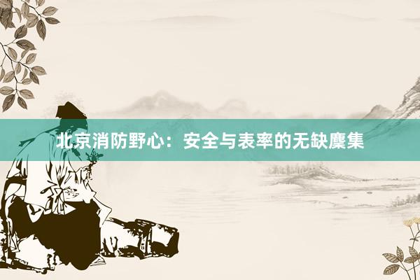 北京消防野心:安全与表率的无缺麇集