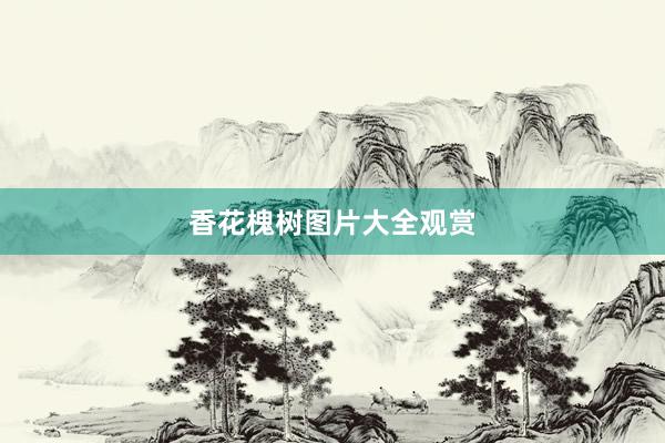 香花槐树图片大全观赏