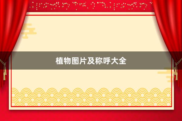 植物图片及称呼大全