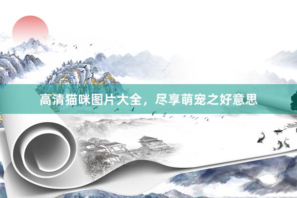 高清猫咪图片大全，尽享萌宠之好意思