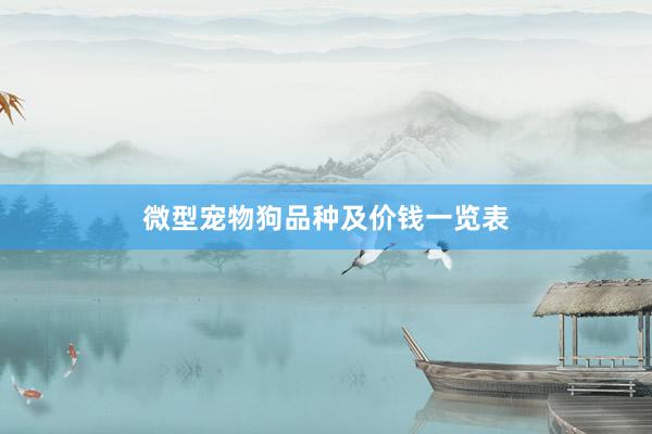 微型宠物狗品种及价钱一览表