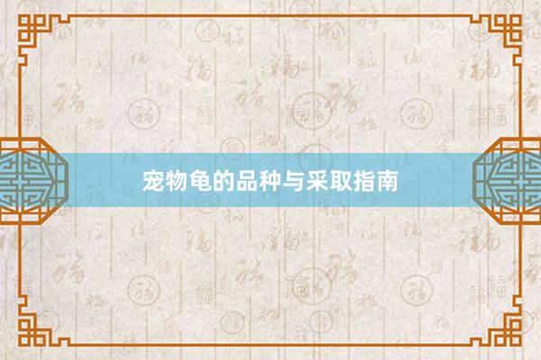 宠物龟的品种与采取指南